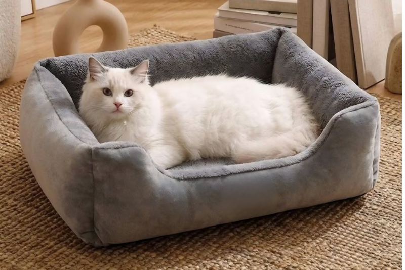 Choosing The Perfect Pet Bed